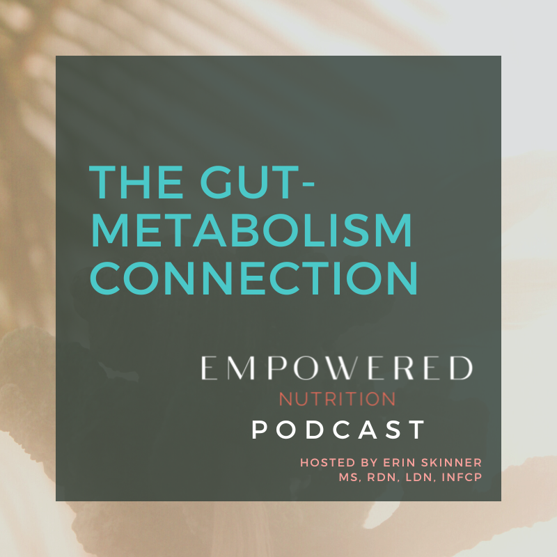 The Gut-Metabolism Connection